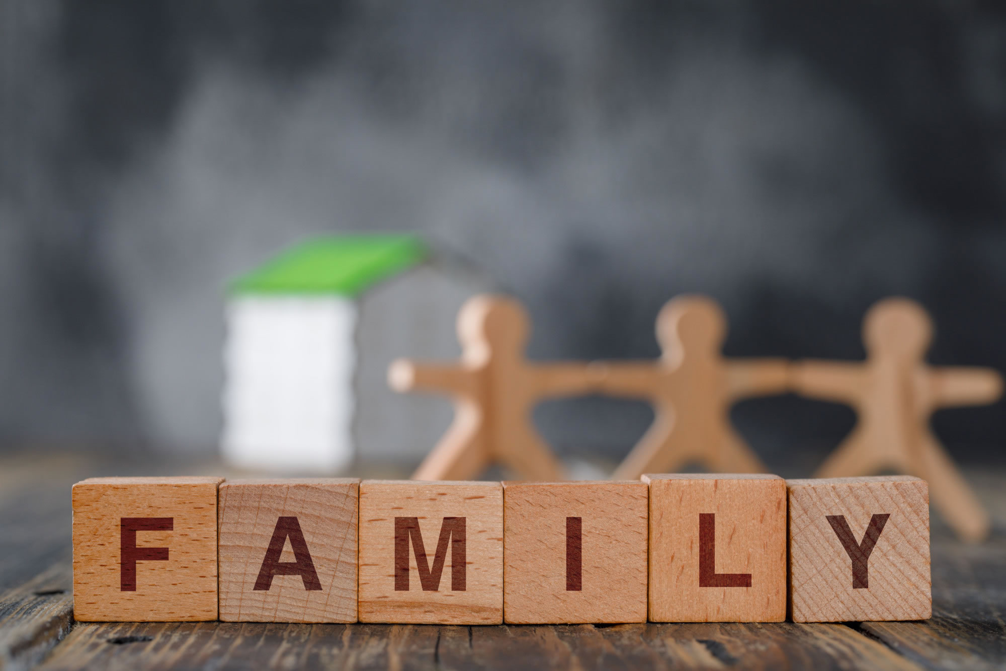 Family law legal services